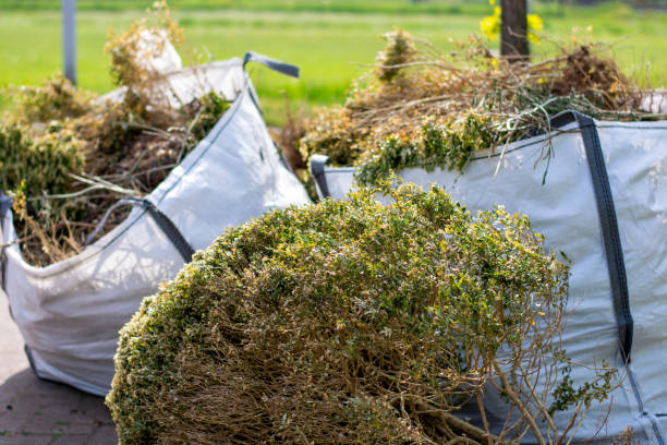 Best Carpet Removal and Disposal  in Stanley, WI